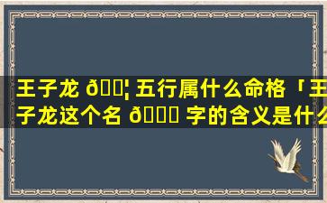 王子龙 🐦 五行属什么命格「王子龙这个名 🐝 字的含义是什么」